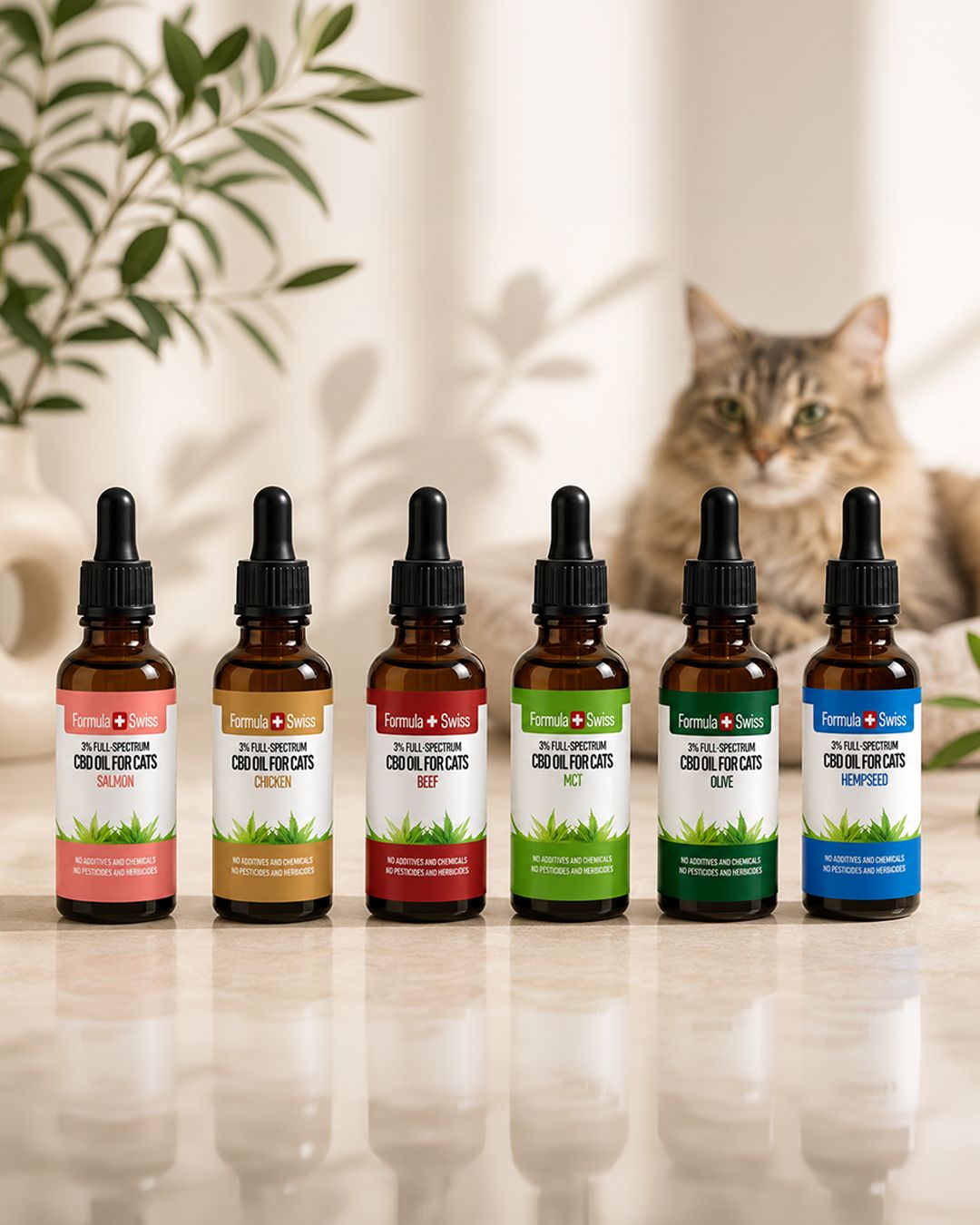 CBD Öl für Katzen