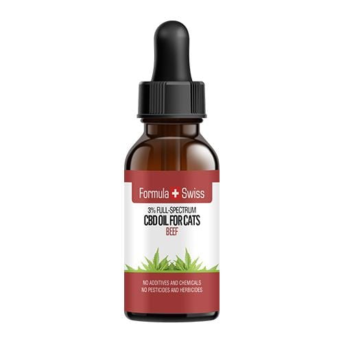Cats CBD Oil in MCT Oil with Beef Aroma