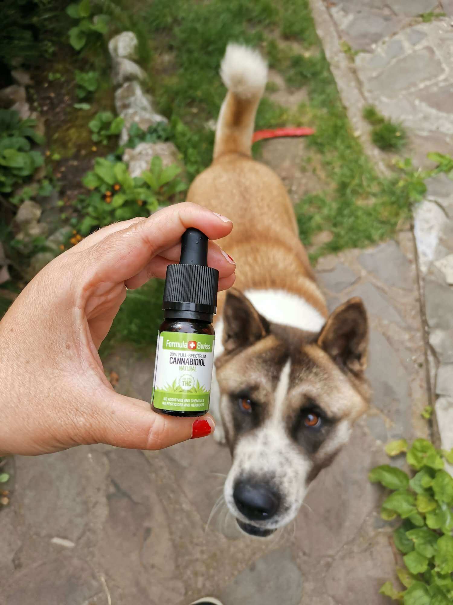 【CBDオイル】MCTオイル　CHILL OUT CBD 楽天市場】ディアレーヴ CBD Chill Oil | リラックス 飲むオイル