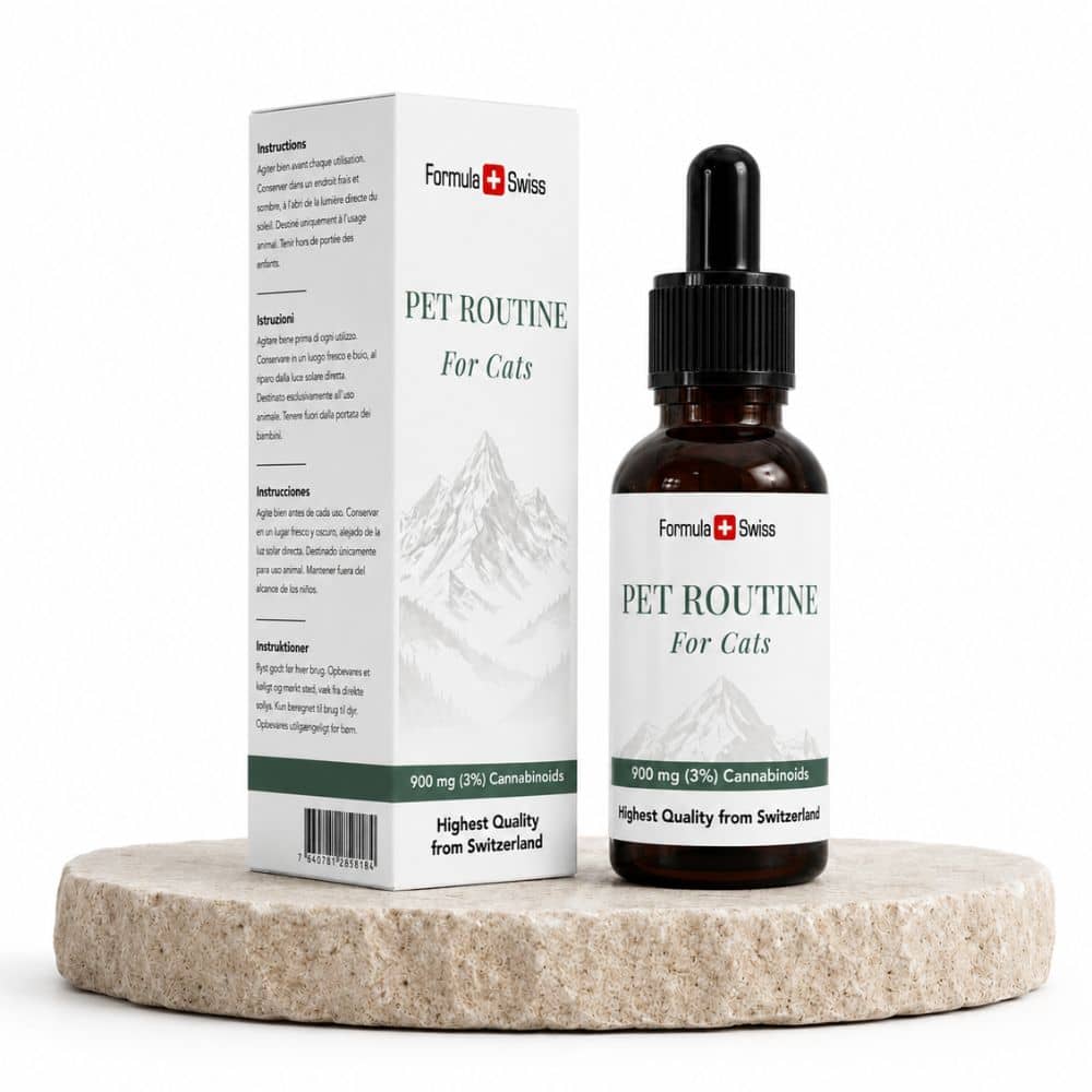 Huisdierroutine voor Katten CBD Olie 3% CBD