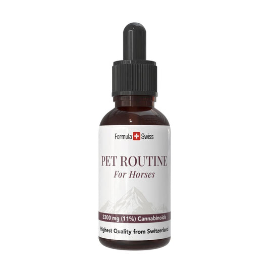 Huisdierroutine voor paarden CBD-olie 10% CBD