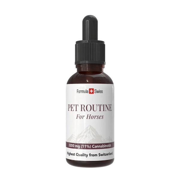 Pet Routine for Horses