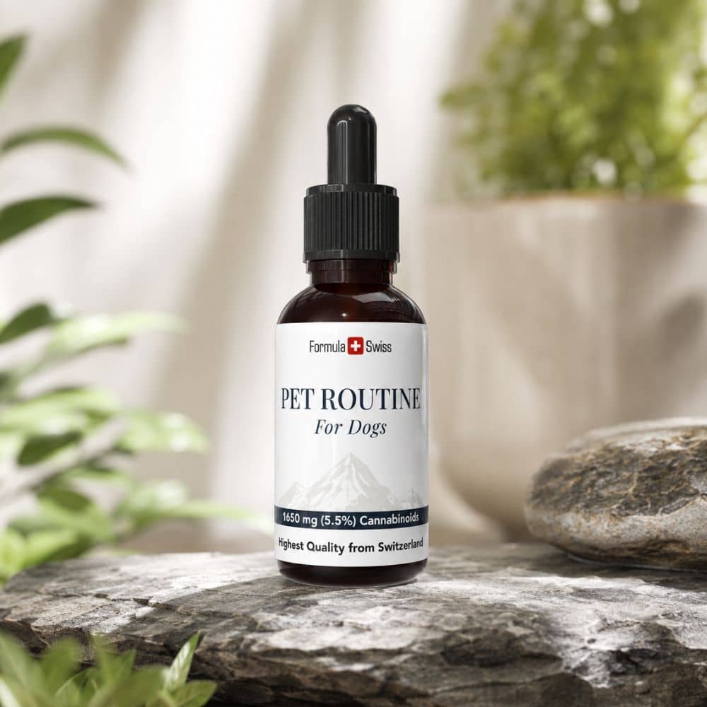 Huisdierroutine Voor Honden CBD Olie 5% CBD