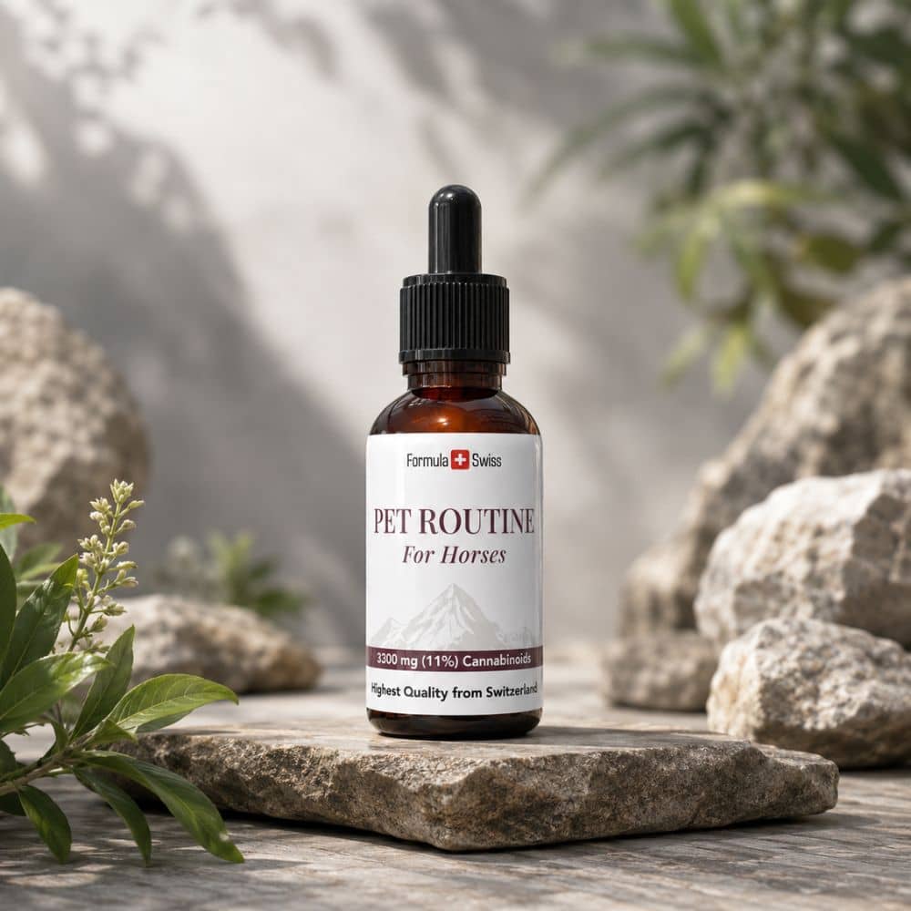 Huisdierroutine voor paarden CBD-olie 10% CBD