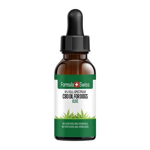 CBD oil in olive oil for dogs